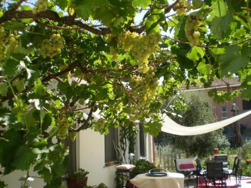 Bed & Breakfast Il Giardino Di Emilio
