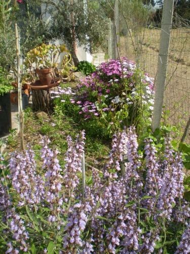 Bed & Breakfast Il Giardino Di Emilio