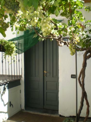 Bed & Breakfast Il Giardino Di Emilio