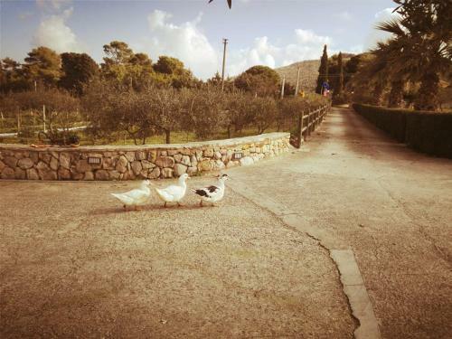 Holiday Home Torre Saracena