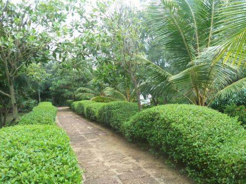 Hotel Lotus Resort