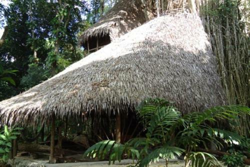 La Maison Du Banian