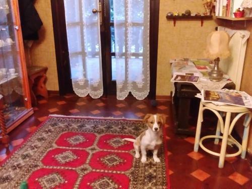 Bed & Breakfast Casa Irene