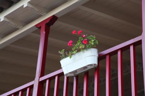 Bed & Breakfast Quinta Pedras De Baixo