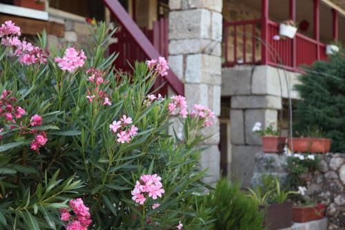 Bed & Breakfast Quinta Pedras De Baixo