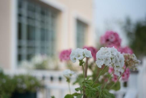 Hotel Doitung View Resort