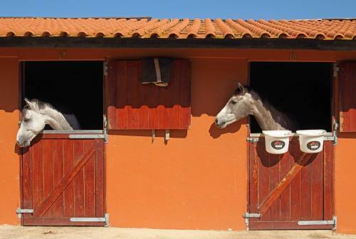 Agroturismo Quinta Da Bicuda