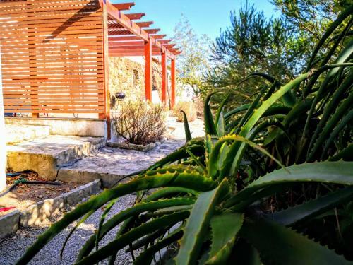 Agroturismo Quinta Das Alfazemas
