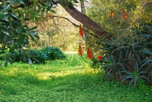 Agroturismo Quinta Das Alfazemas