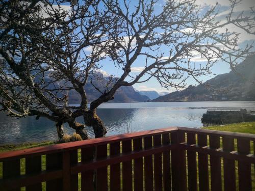 Dals�ren Camping