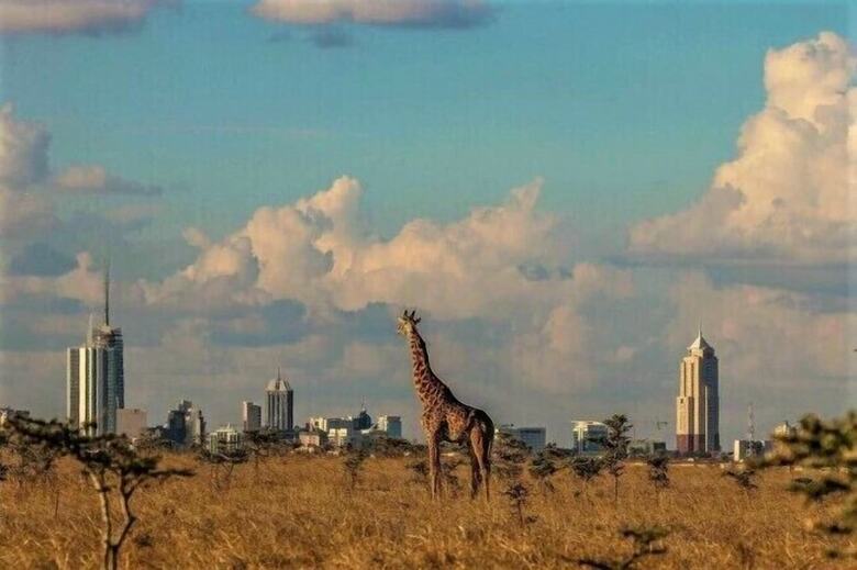 Hotel The Boma Nairobi