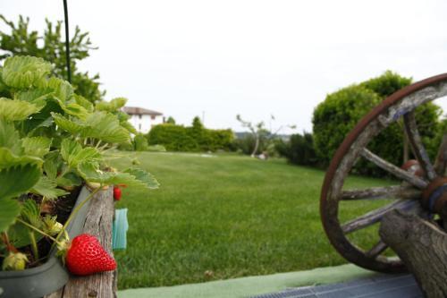 Agroturismo Massoni Bed And Breakfast