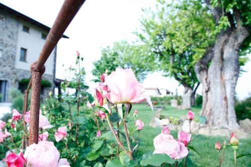 Agroturismo Massoni Bed And Breakfast