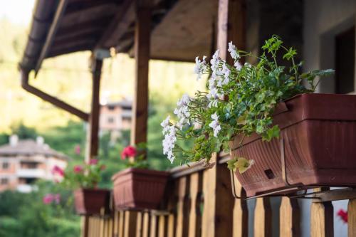 Agroturismo Villa Zaburdo