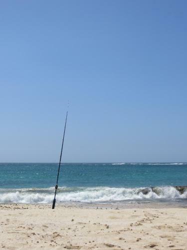 Boa Vista Holiday Apartment