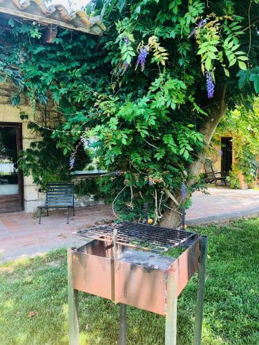 Agroturismo Yeguada Senillosa