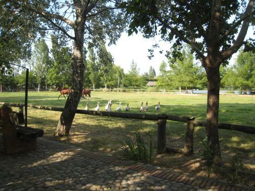 Agroturismo Yeguada Senillosa