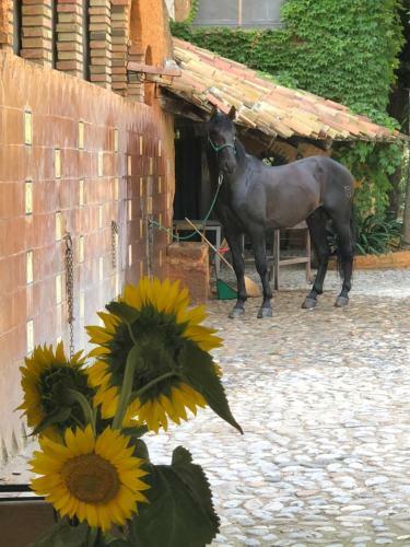 Agroturismo Yeguada Senillosa
