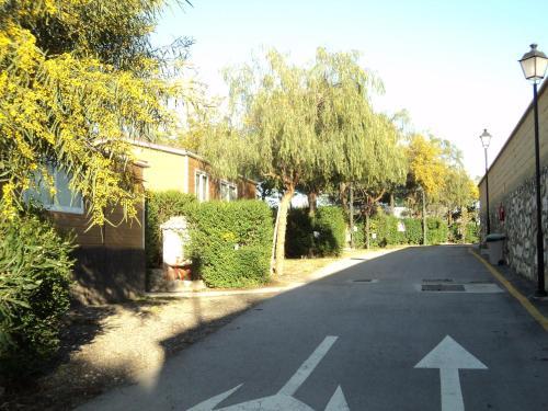 Camping Rural Presa La Vi�uela