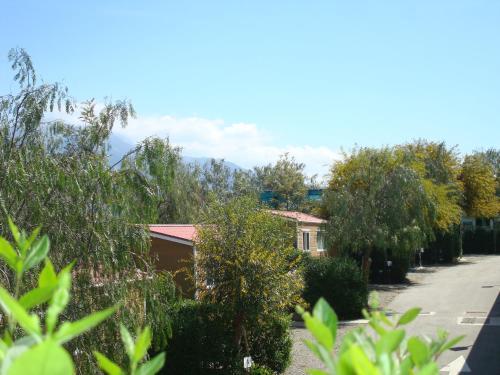 Camping Rural Presa La Vi�uela