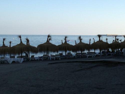 Carpe Diem De M�laga