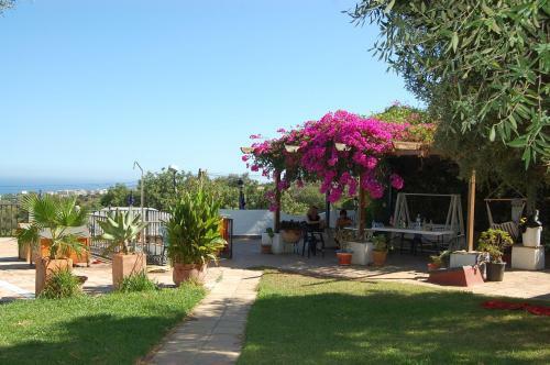 Carpe Diem De M�laga