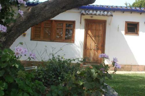 Carpe Diem De M�laga