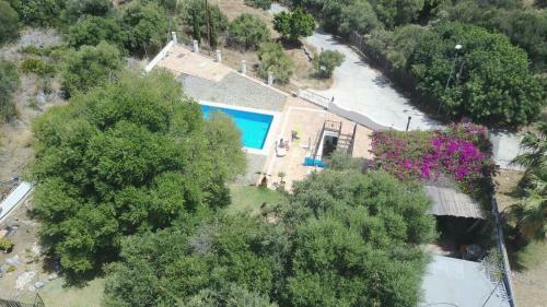 Carpe Diem De M�laga