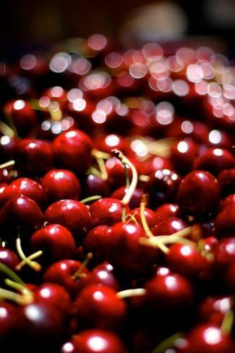 Carpe Diem De M�laga