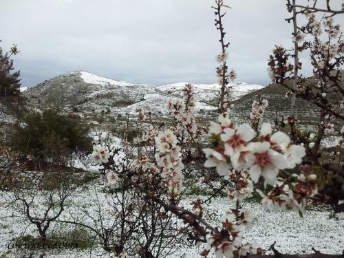 Agroturismo Cortijo Claudia