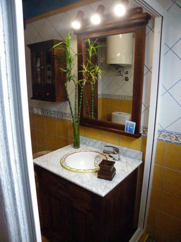 Apartamentos Fuente La Teja 5. Lujo