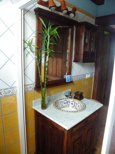 Apartamentos Fuente La Teja 5. Lujo