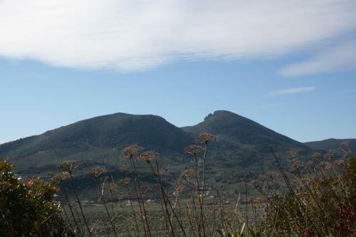 Agroturismo Casa Rural Montecillo Bajo