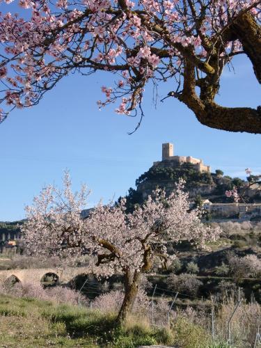 Agroturismo Hotel Rural Mas Fontanelles