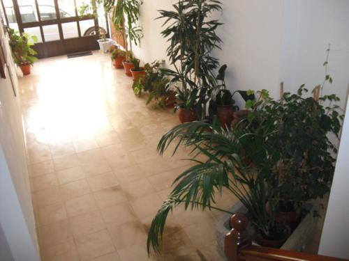 Apartamentos Bau-doce