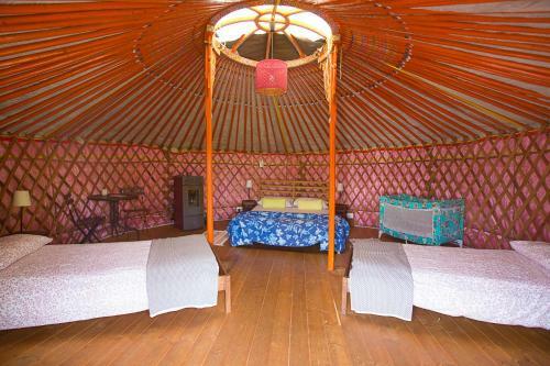 Agroturismo Societ� Agricola Cacigolara