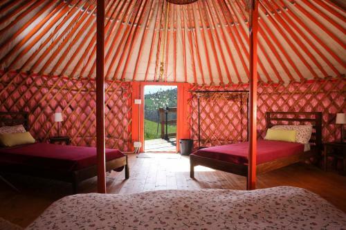 Agroturismo Societ� Agricola Cacigolara