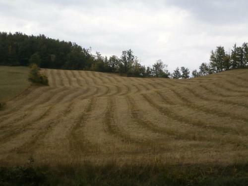 Agroturismo Societ� Agricola Cacigolara