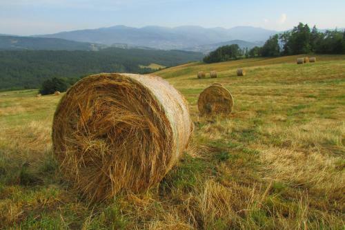 Agroturismo Societ� Agricola Cacigolara