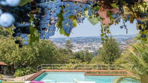 Agroturismo Quinta Das Leiras
