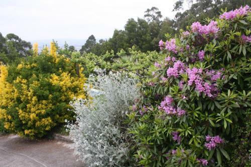 Agroturismo Quinta Das Leiras
