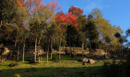 Agroturismo Quinta Das Leiras