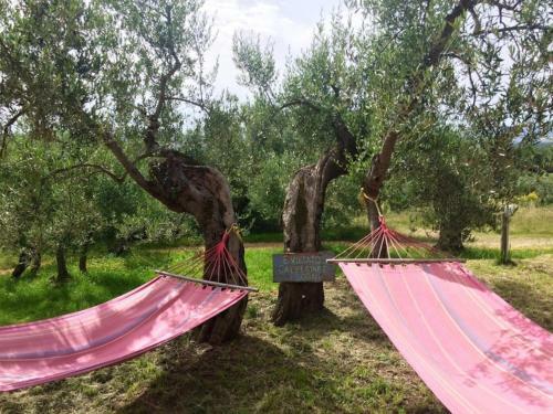Bed & Breakfast Casale Millesoli