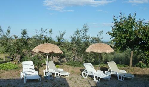 Bed & Breakfast Casale Millesoli