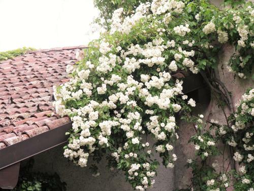 Hostal La Traversina