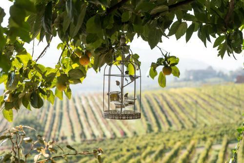 Agroturismo Casa Giuliana