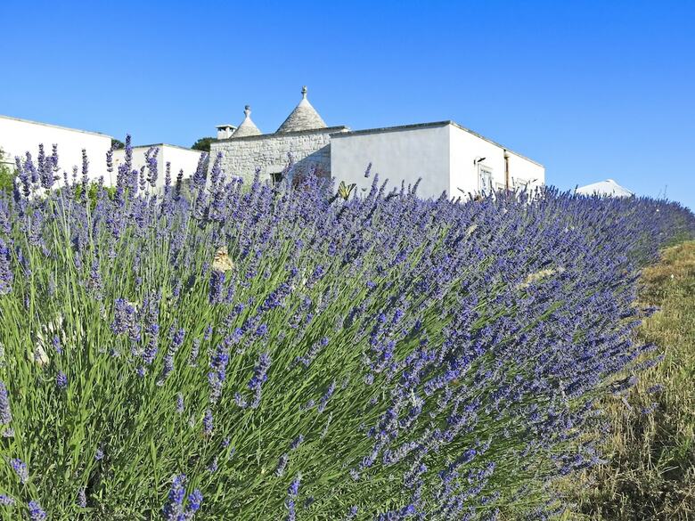 Agroturismo Podere Papilio