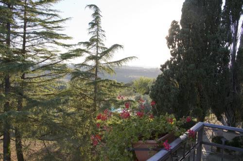 Hostal Villa Brignole