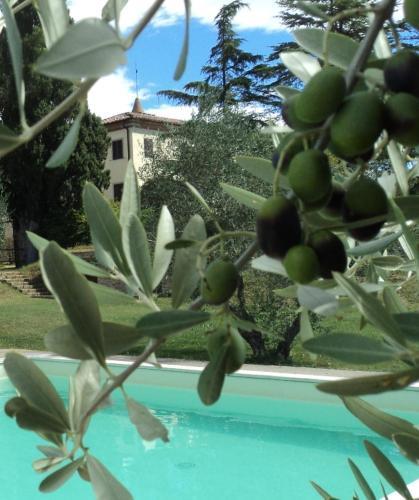 Hostal Villa Brignole