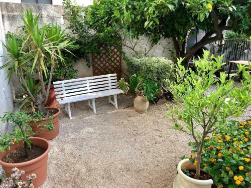 Bed & Breakfast La Pergola